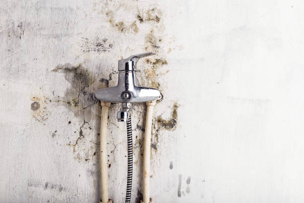 Best Mold Cleaning Services  in Delaware, OH