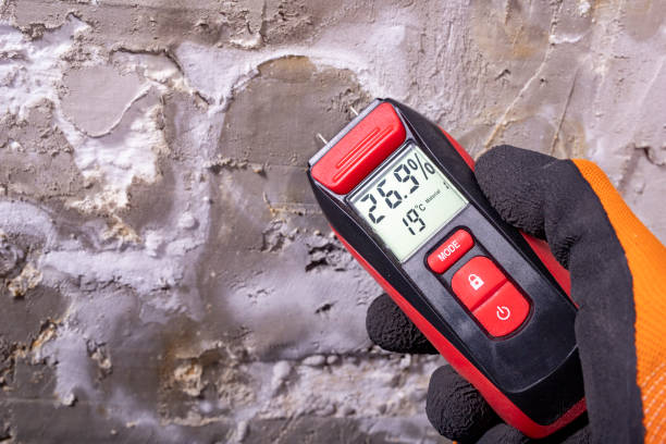 Best Mold Damage Repair  in Delaware, OH