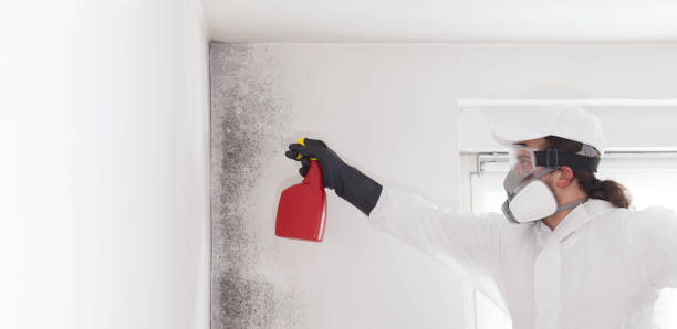 Office Mold Removal Services in Delaware, OH